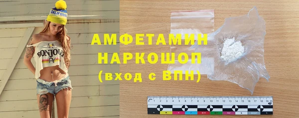 индика Медвежьегорск