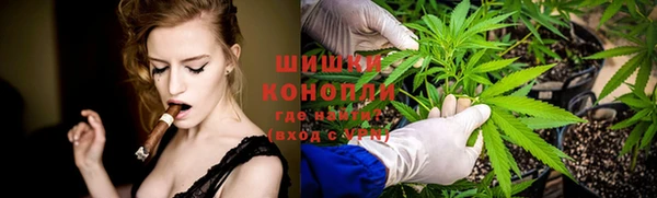 стаф Михайлов