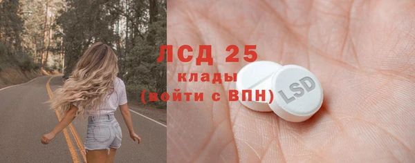 прущие грибы Мегион