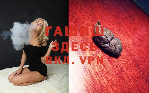 индика Медвежьегорск