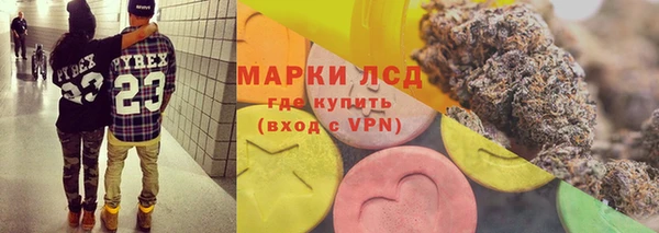 гашик Апатиты