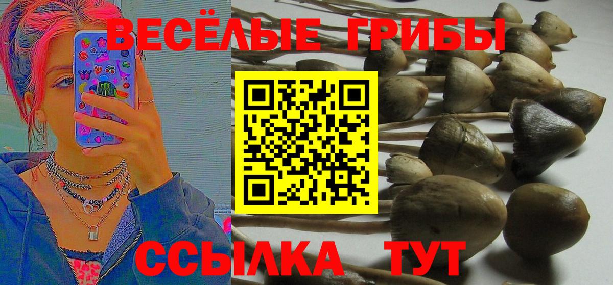 Меф МЯУ МЯУ кристаллы  Конопля  ЭКСТАЗИ  Нижнеудинск  Alpha PVP СОЛЬ   Вход с VPN 