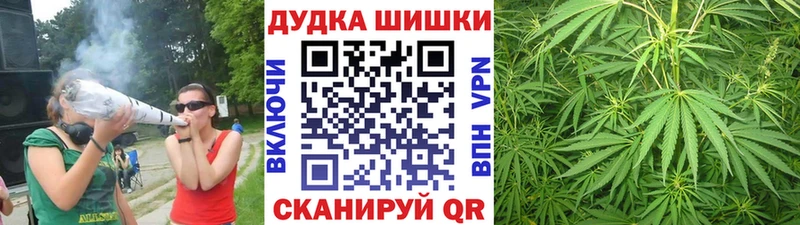 хочу наркоту Нижнеудинск Бошки марихуана ГИДРОПОН
